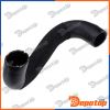 Gaine de suralimentation pour FIAT | GPP-FT-048, 1379412080